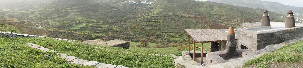 Alonaki Tinos Rental Cottage House Skaládhos エクステリア 写真
